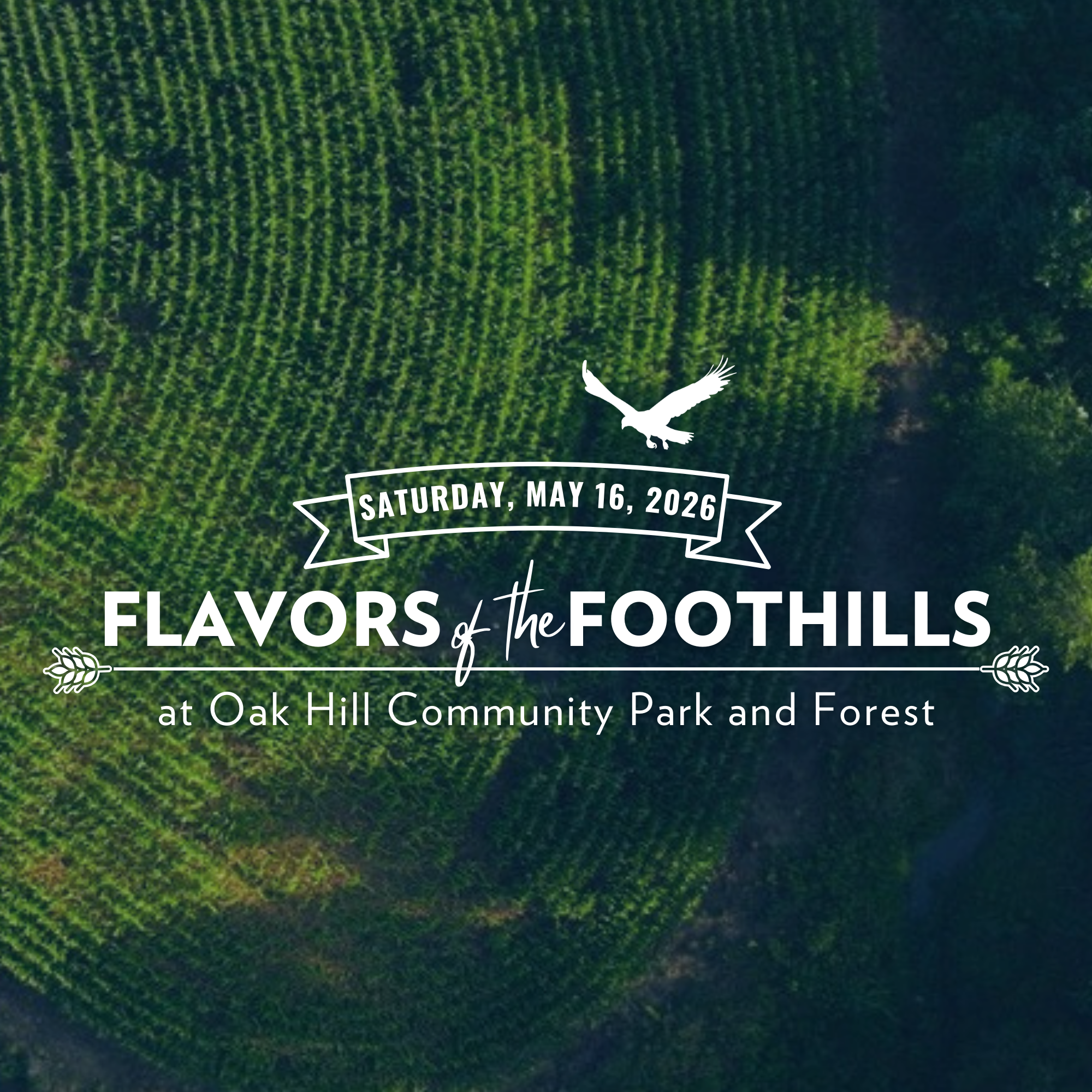 Flavors of the Foothills 2026 - logo